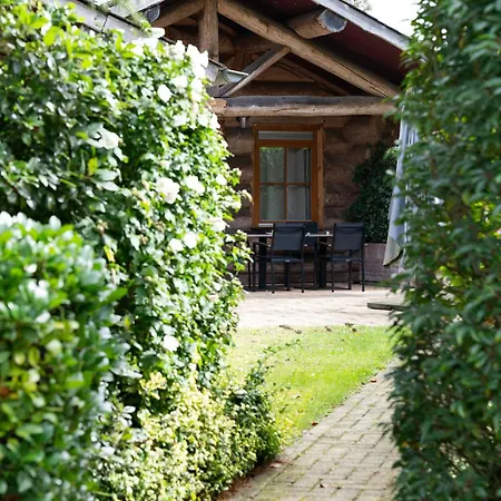 Boomgalows De Roestelberg Ferienhaus