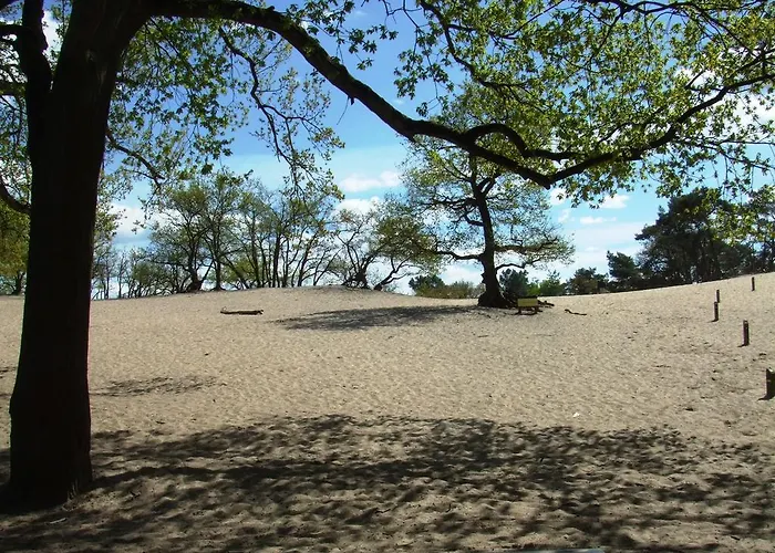 Boomgalows De Roestelberg