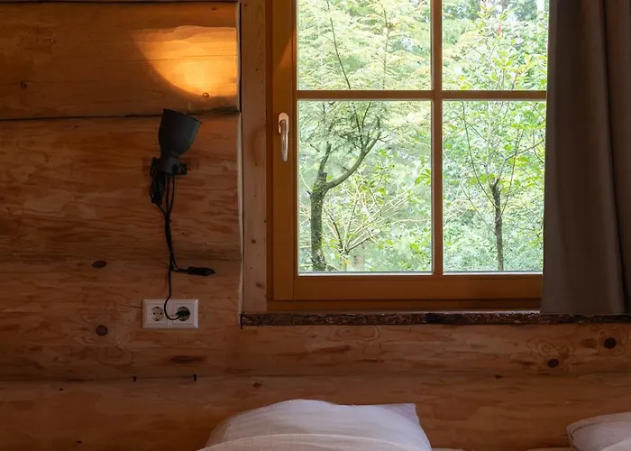 Boomgalows De Roestelberg Kaatsheuvel